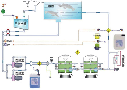 海洋哺乳动物LSS设计